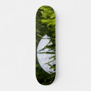 golfballonhulsel skateboard