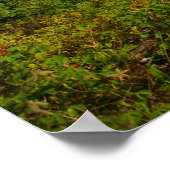 Golfcursus Poster (Hoek)