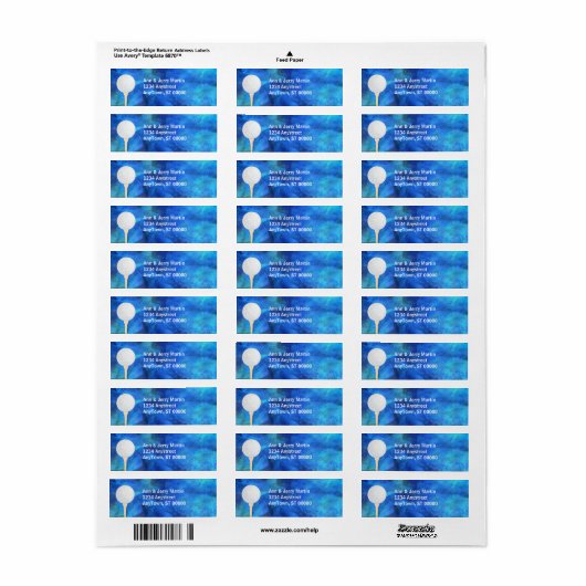 Golfers Adres Label Golf Ball Blauw en Wit (Full Sheet)