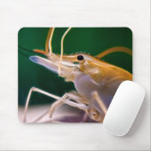 Golfgarnaal - Mousepad Muismat (Met muis)