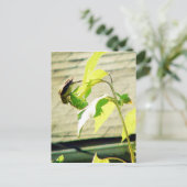 Golfinch en zonnebloem briefkaart (Staand voorkant)