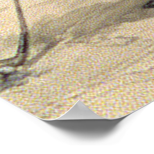  GolfMode, 1890 Poster (Hoek)