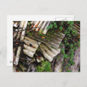 golfslag briefkaart (Voorkant / Achterkant)