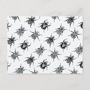 Goliath Beetles Briefkaart