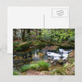 Golitha Herfst Fowey Cornwall England Briefkaart (Voorkant / Achterkant)