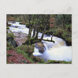 Golitha Herfsten, Cornwall, Engeland bij de Cornis Briefkaart