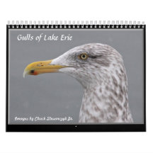 Golls van Lake Erie Wall Calendar