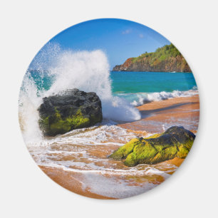 Golven botsten op het strand, Hawaii Magneet