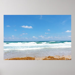 Golven brengen zeewier binnen poster