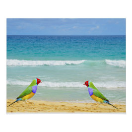 Golven, lucht en surven op Boa Vista strand Perfect Poster