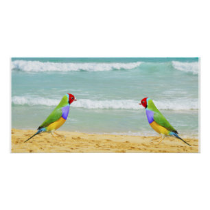 Golven, lucht en surven op het strand van Boa Vist Perfect Poster