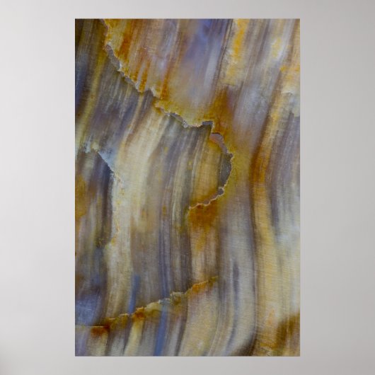 Golvend versteend hout poster (Voorkant)