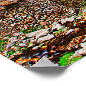 Gomez Mill Poster (Hoek)