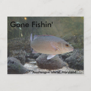 Gone Fishin' op Assateague Island, MD Briefkaart