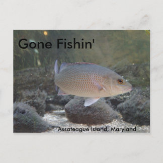 Gone Fishin' op Assateague Island, MD Briefkaart