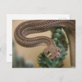 Gone krijgt Yea! Briefkaart (Voorkant / Achterkant)