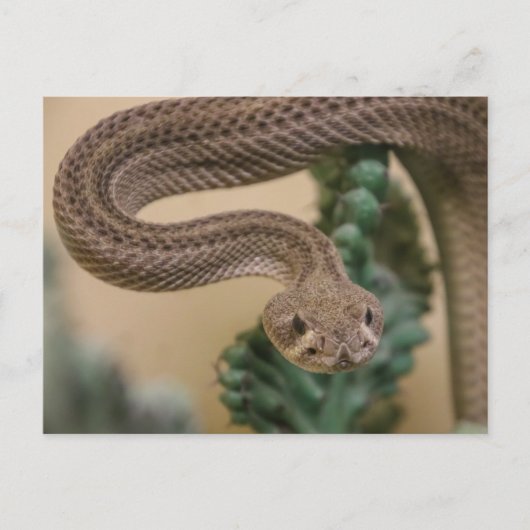 Gone krijgt Yea! Briefkaart (Voorkant)