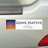 Gone Native - Bumpersticker (Op auto)