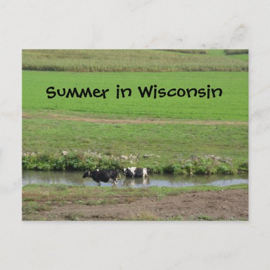 Gone Swimmin' Briefkaart (Voorkant)