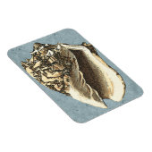 Gonespoelbare betegelschil magneet (Rechterzijde)