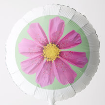 Ballon de la partie Jardin de chimie