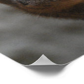 Gongsachtig Poster (Hoek)