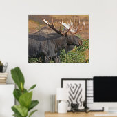 Good Bull Moose Poster (Thuiskantoor)