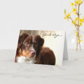 Good Bye Australian Shepherd wenskaart Kaart (Gele Bloem)