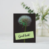 Good Luck Dandelion Briefkaart (Staand voorkant)