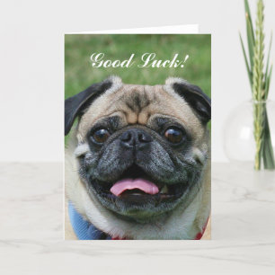 Good Luck Pug Dog Kaart