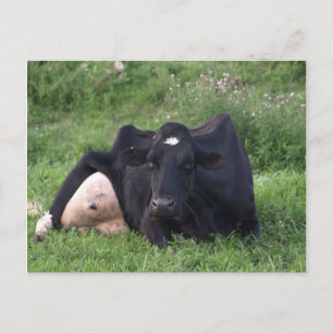 Good Moarning WI Briefkaart