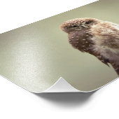 Good Morning to you photo (Coin)