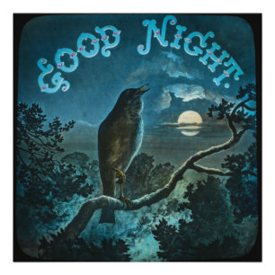 Good Night Bird op een Branch  Circa 1890 Foto Afdruk