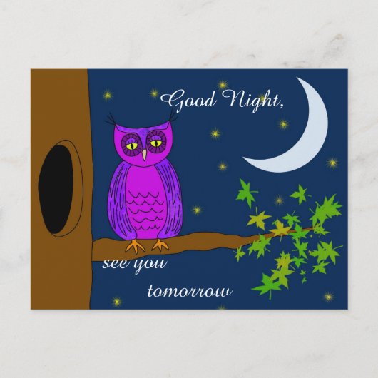 Good Night Owl Message Briefkaart (Voorkant)
