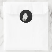 Good Night Owl Sticker (Tas)