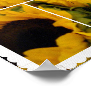 Good Times Sunflower Poster