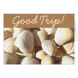 Good Trip, Sea Shells Sunny Tropical Exotic Beach