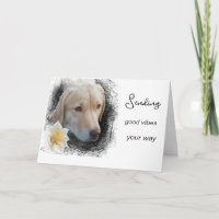 *~ Good Vibes Lab Bloem AP61 Gouden Treurige Hond