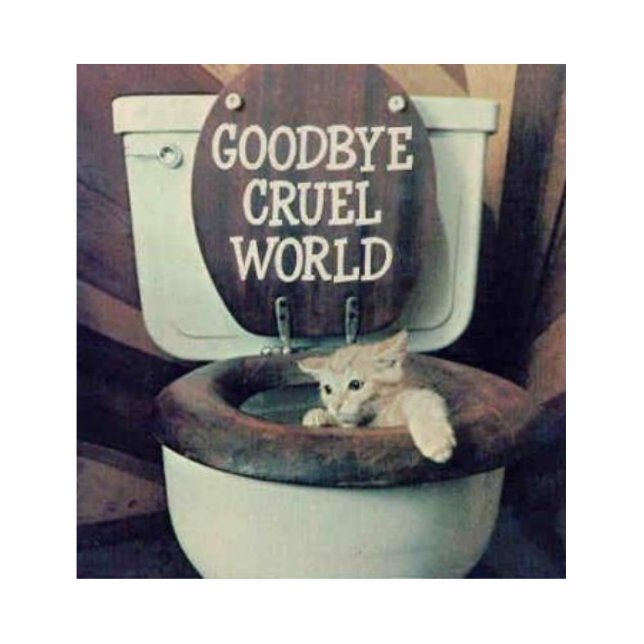 "Goodbye Cruel World" Staand Fotobeeldje (Voorkant)