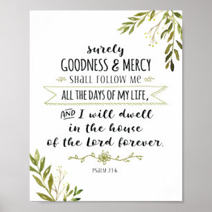 Goodness en Mercy zullen me zeker volgen. Poster