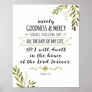 Goodness en Mercy zullen me zeker volgen. Poster