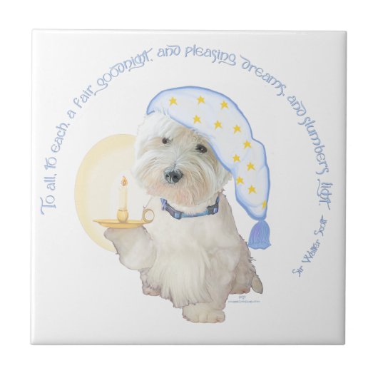 Goodnight Blue Tegeltje (Voorkant)