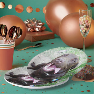 Goofy Delights: Chocolate Brown Labrador Puppy, Papieren Bordje