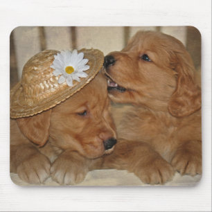 Goofy Golden Retriever Puppies Muismat