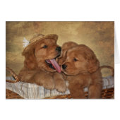 Goofy Golden Retrivers (Devant Horizontal)