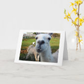 Goofy Llama Blank Wenskaart Kaart (Gele Bloem)
