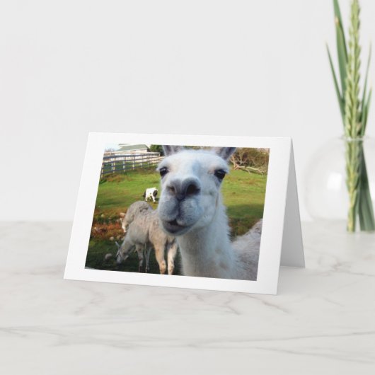 Goofy Llama Blank Wenskaart Kaart (Voorkant)