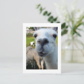 Goofy Llama Briefkaart (Staand voorkant)