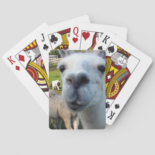 Goofy Llama-speelkaarten Pokerkaarten (Achterkant)