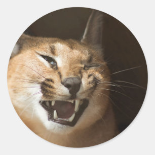 Goofy Lynx Ronde Sticker
